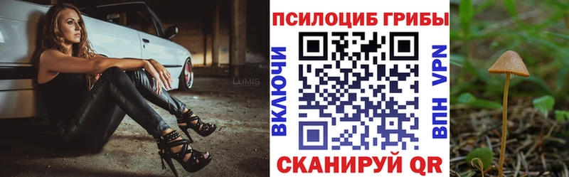 Псилоцибиновые грибы мицелий  Ишим 